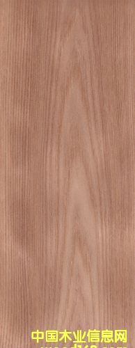 ��ľľƤ��Ԕ��(x��)��B