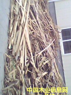 ľмľ��ľмľƤľƬ��Ԕ��(x��)��B