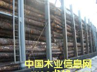 ��ɼ��Ԕ��(x��)��B