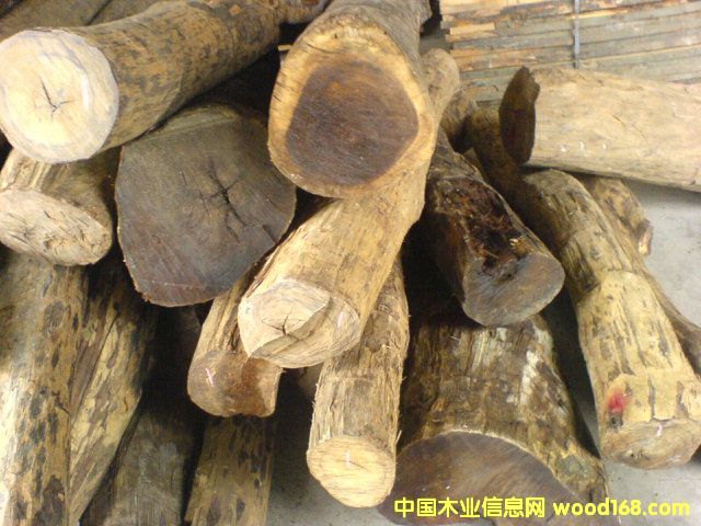 ��֦��Ԕ��(x��)��B