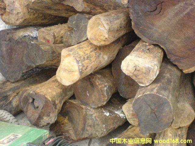 ��֦��Ԕ��(x��)��B