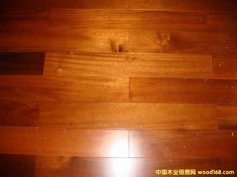 �w�����,���_�غ�ľ�ذ��Ԕ��(x��)��B