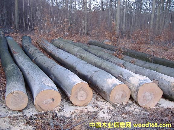 �c���鿴�W�ޙ�ľ�Ŵ�DƬ