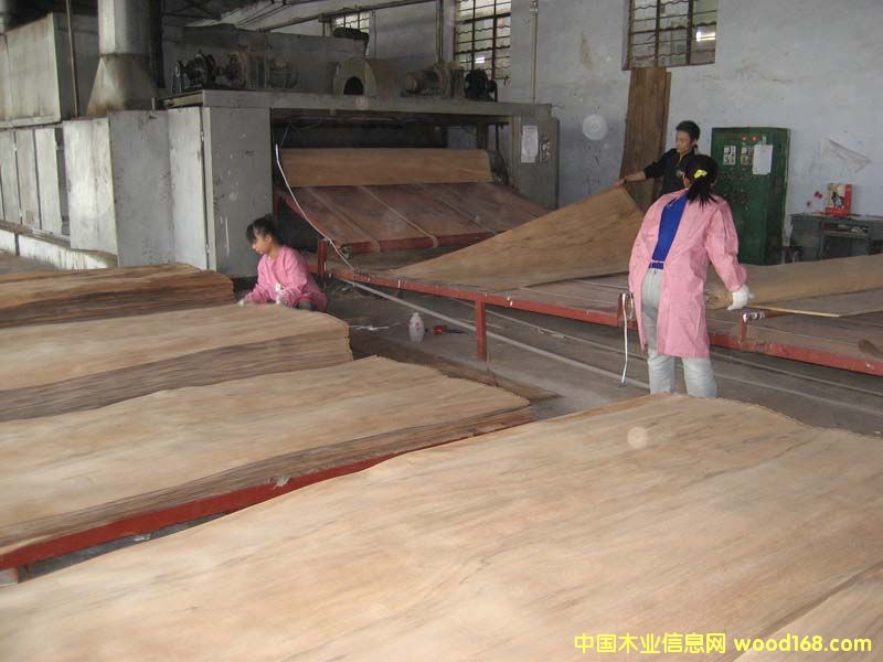 ����ľ�ΰ��Ԕ��(x��)��B