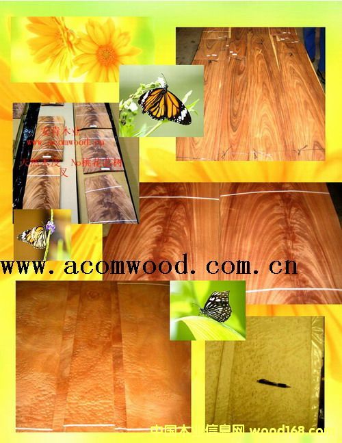 �b���9��Ԕ��(x��)��B