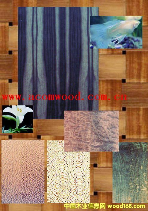 �b���6��Ԕ��(x��)��B