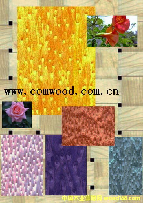 �b���5��Ԕ��(x��)��B