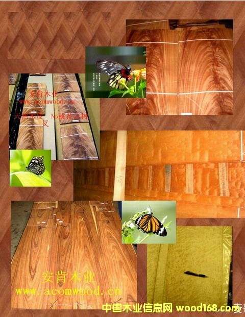 �b���1��Ԕ��(x��)��B