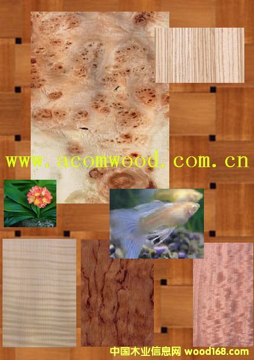 �b���4��Ԕ��(x��)��B