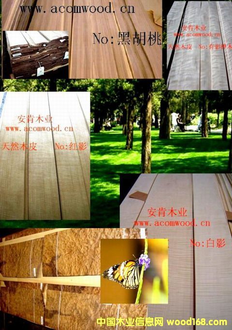 �b���2��Ԕ��(x��)��B