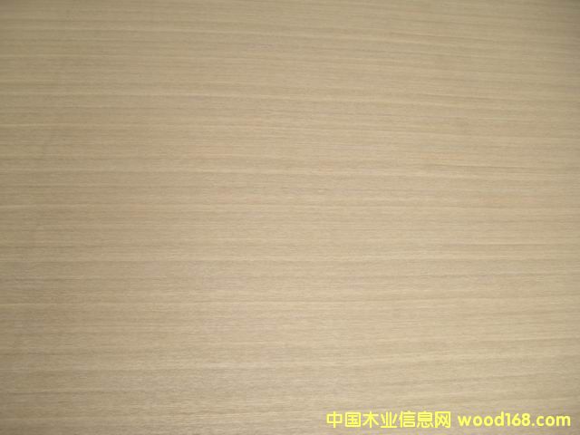 �����p�N��(x��)ľ�������Ԕ��(x��)��B