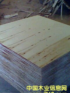 �бP���õ�Ԕ��(x��)��B