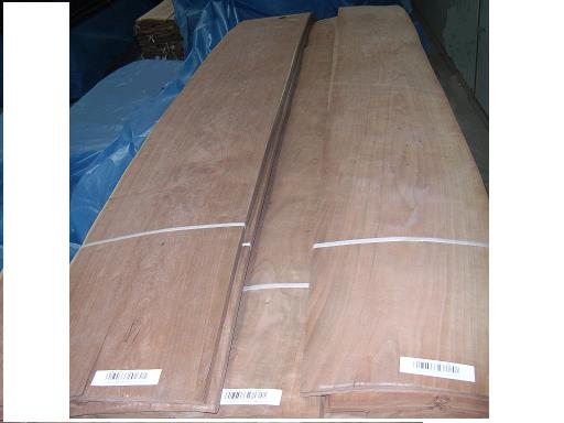 0.6����ľƤ��Ԕ����B