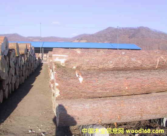 ��ľ����ľ���ľ��Ԕ����B