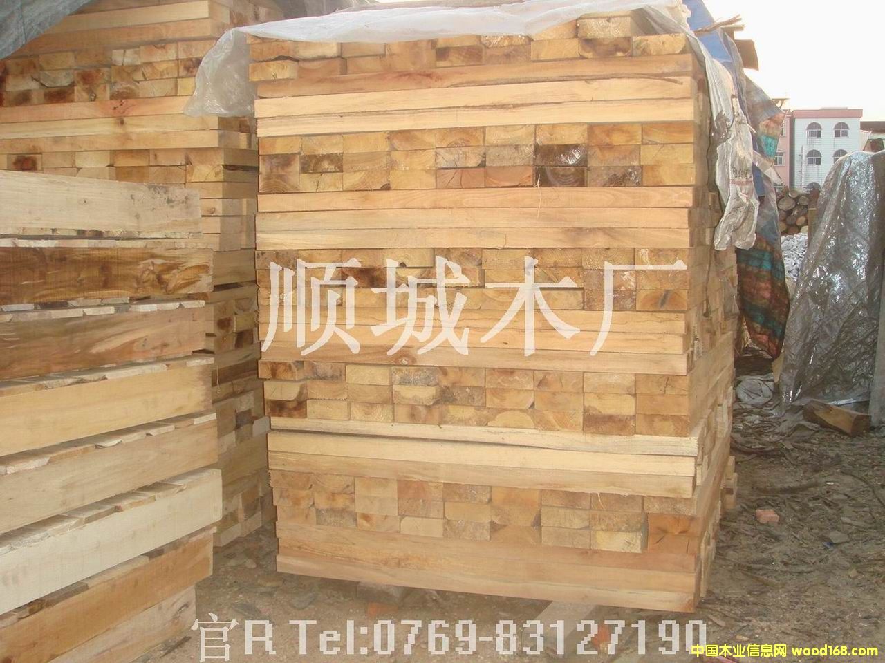 ľ����Ԕ��(x��)��B