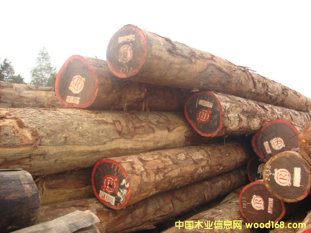 �c(di��n)���鿴PADOUK�t����Ŵ�DƬ