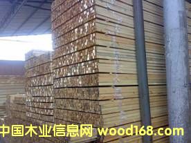 ���N���ɗl��Ԕ��(x��)��B