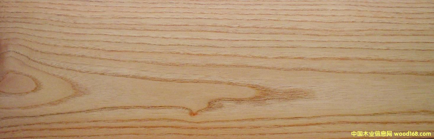 ������Ԕ��(x��)��B