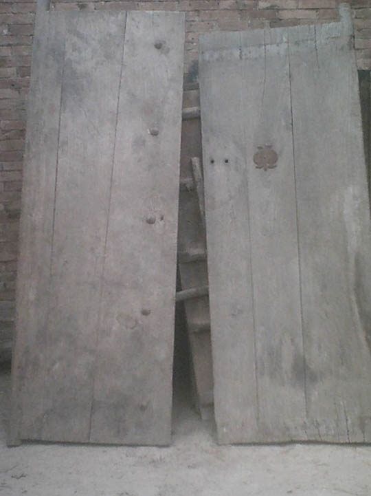 ���T���Ԕ����B