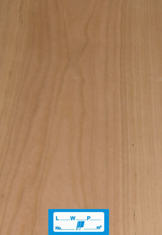 ����ľƤ��Ԕ��(x��)��B