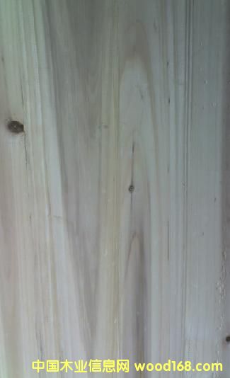 �c(di��n)���鿴��ɼľƴ��Ŵ�DƬ