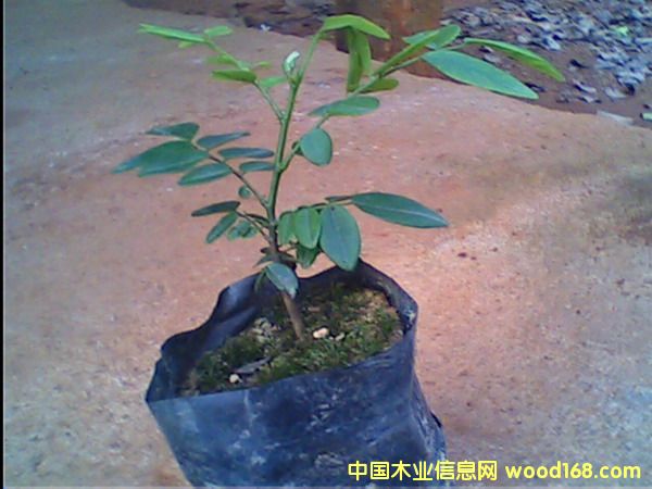 �c(di��n)���鿴��������-�S������2�Ŵ�DƬ