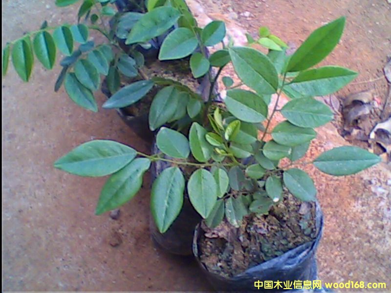 �c(di��n)���鿴��������-�S������2�Ŵ�DƬ