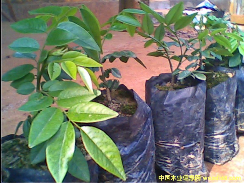 �c(di��n)���鿴��������-�S������Ŵ�DƬ