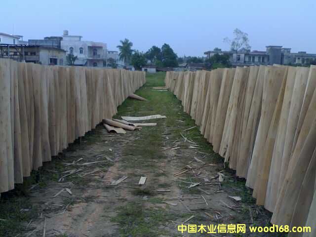 ��ľ�ΰ��Ԕ����B