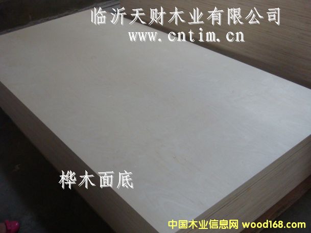 ��ľ�����ʽ�������z�ϰ�