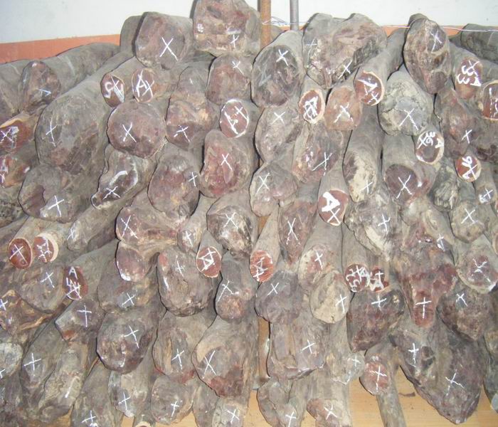 ӡ��С�~��̴ľ��Ԕ��(x��)��B