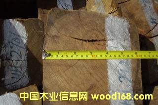 �c���鿴��֦�Ŵ�DƬ