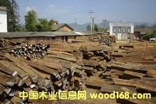 �c���鿴�t��֦�Ŵ�DƬ