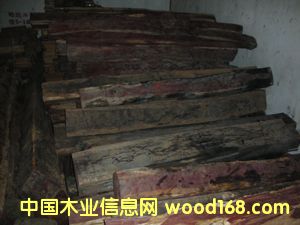 ���t��Ԕ��(x��)��B