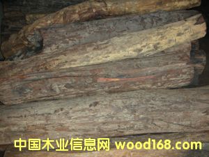 ��t��֦��Ԕ��(x��)��B