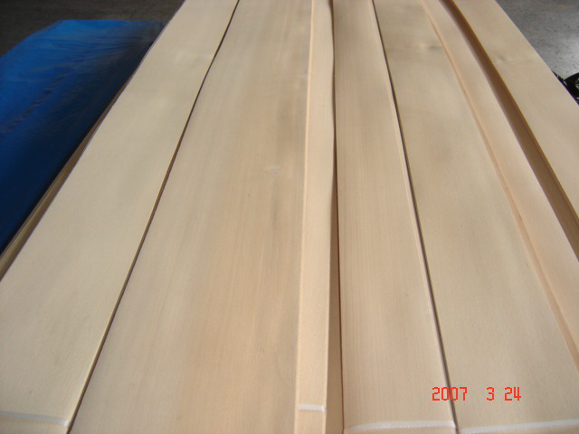 �c���鿴Steamed Beech veneer�Ŵ�DƬ