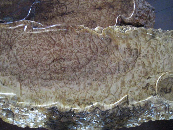 ��������/����/��̵�Ԕ����B