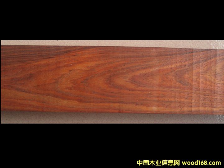 �t��֦��Ԕ����B