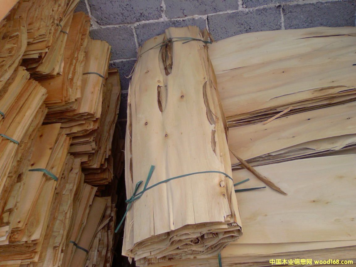 ����(j��)���Ԕ��(x��)��B