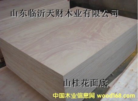 3*6�������z�ϰ��Ԕ��(x��)��B