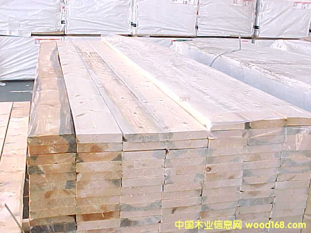 �M��ľ��--SPF��Ԕ��(x��)��B