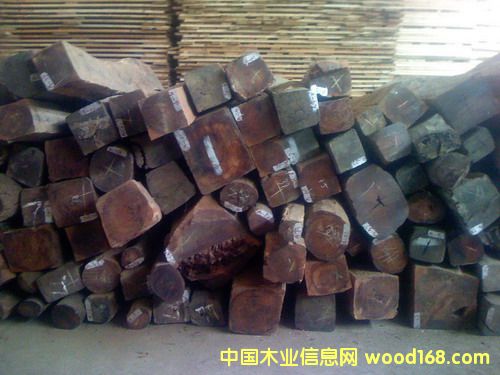 �c(di��n)���鿴�����ϼtľ�Ŵ�DƬ