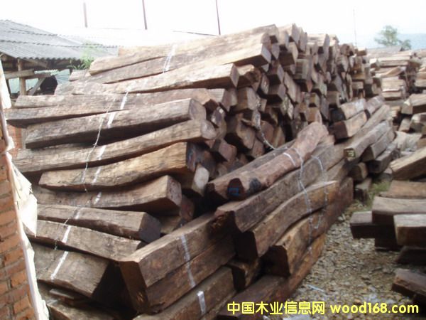 �c(di��n)���鿴����t��֦�Ŵ�DƬ