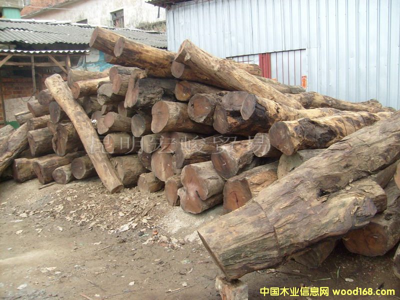 �c(di��n)���鿴�ϓ��u��ľ���Ŵ�DƬ