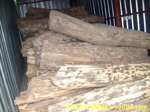 �c(di��n)���鿴�������֦�Ŵ�DƬ