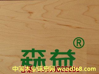 �ӗ�1��Ԕ��(x��)��B