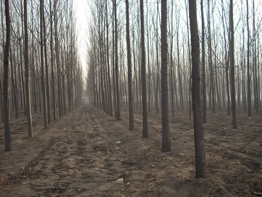 �������Ԕ����B