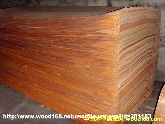 �W����������Ƥ��Ԕ��(x��)��B