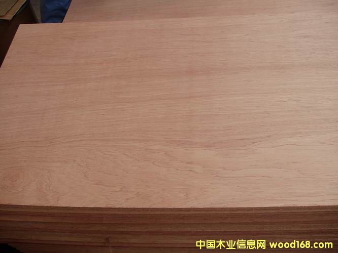 �c(di��n)���鿴���ǹ��Ŵ�DƬ