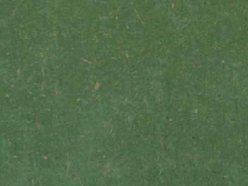 �c���鿴ľ��Ⱦɫ���Ŵ�DƬ